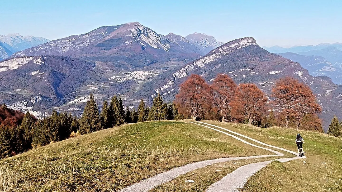 Herbstlich gefärbte Bäume am Monte Altissimo
