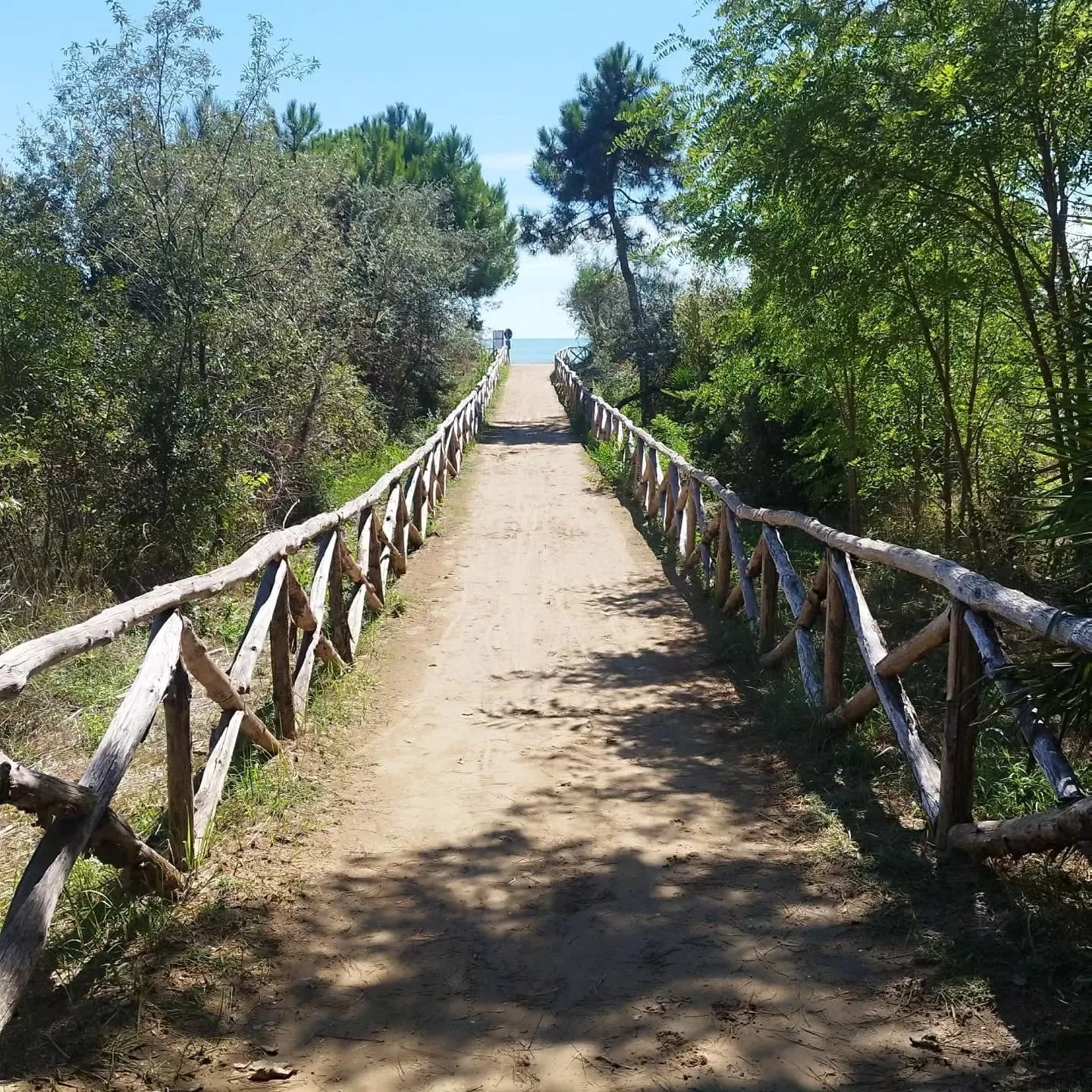 Holzsteg durch die Dünen zum Strand