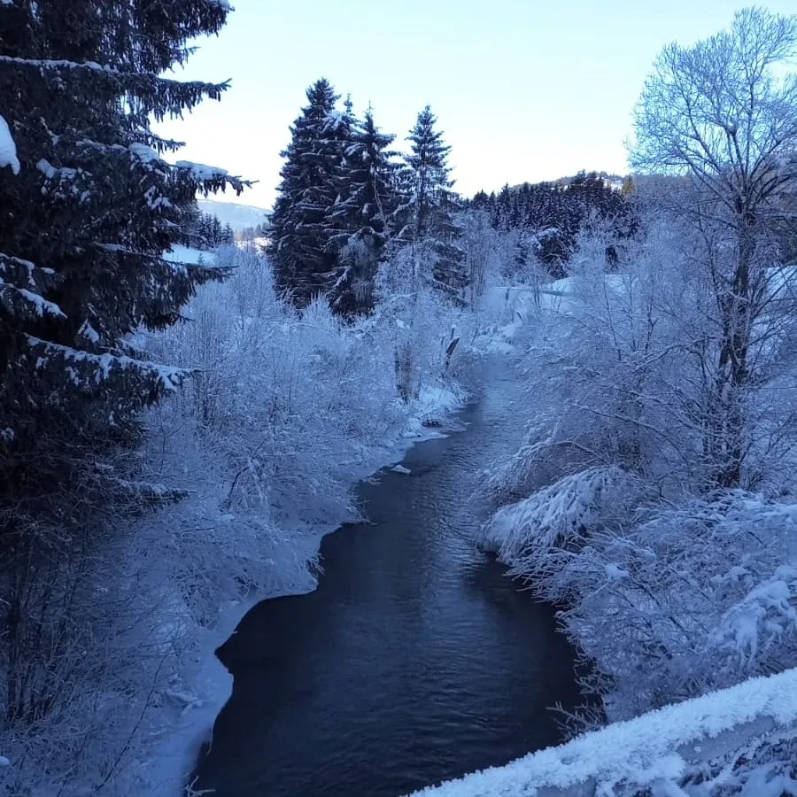 Winterlicher Bach im Schnee