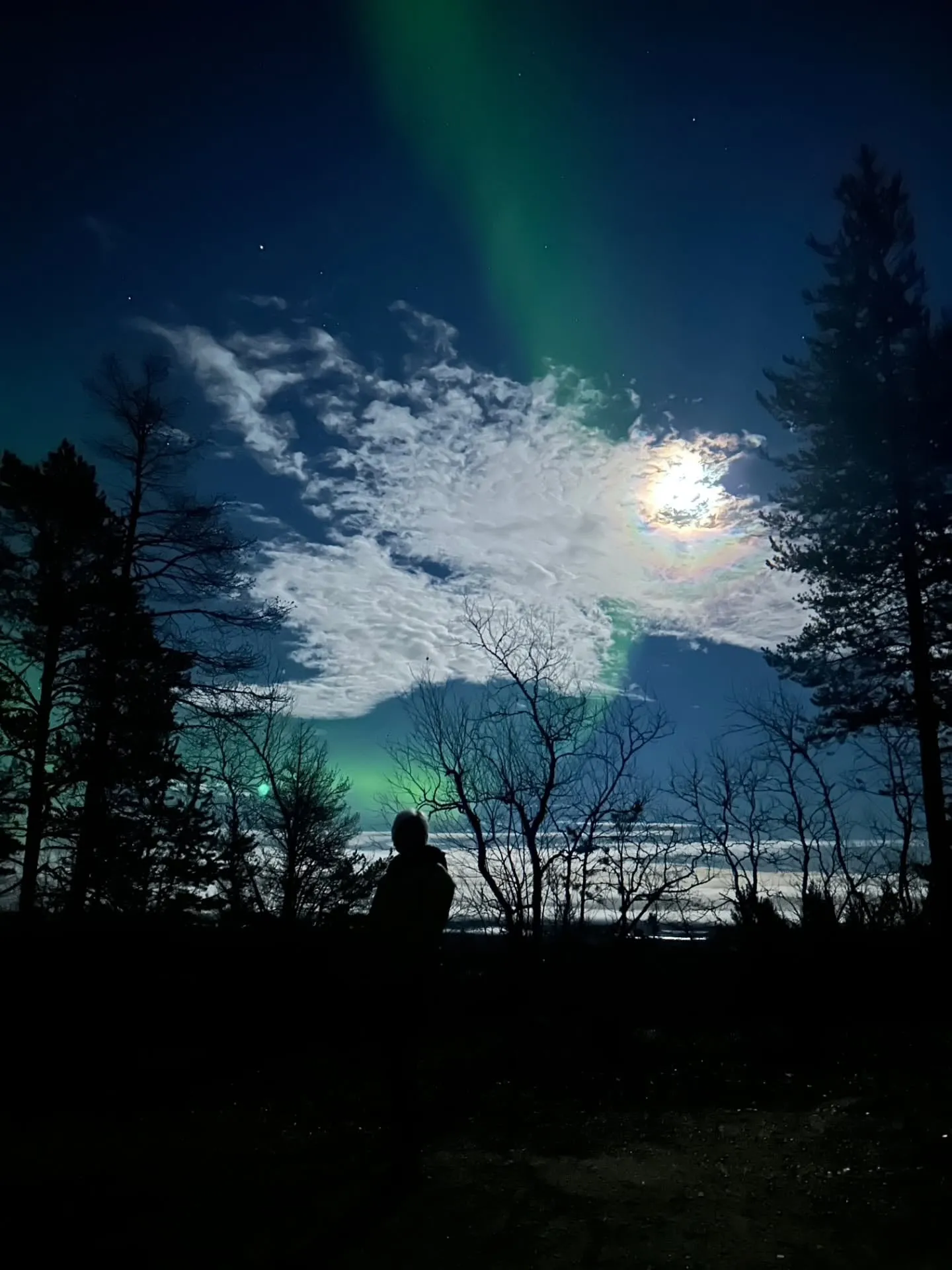 Polarlicht und Mond über dem Wald bei Inari