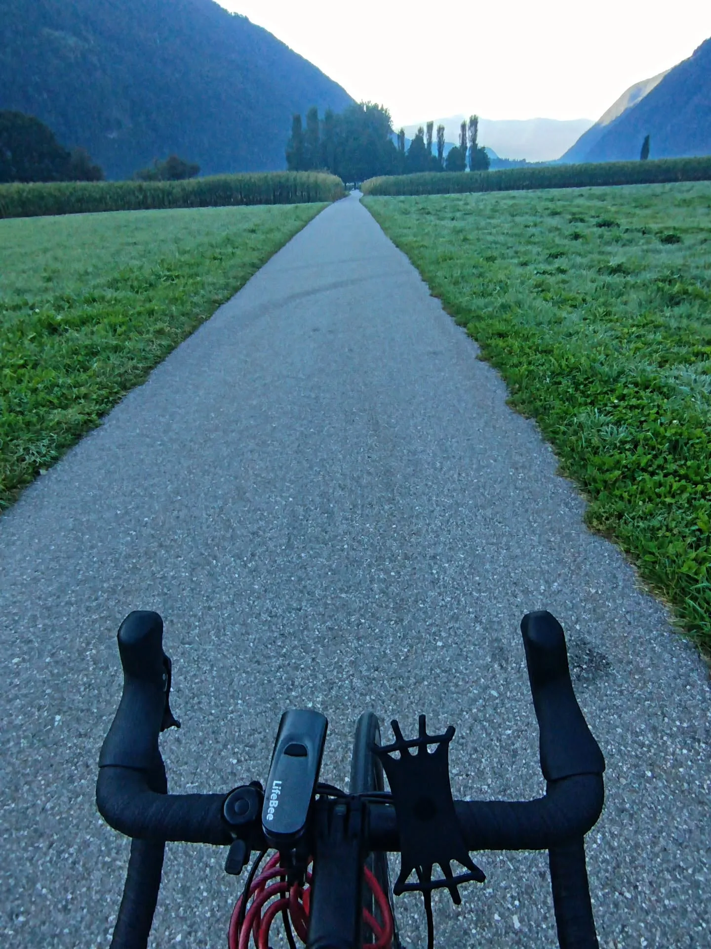 Der Radweg zwischen Wiesen