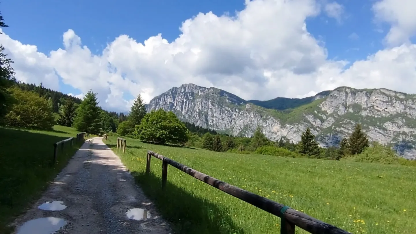 Weg über eine Wiese vor Felswänden