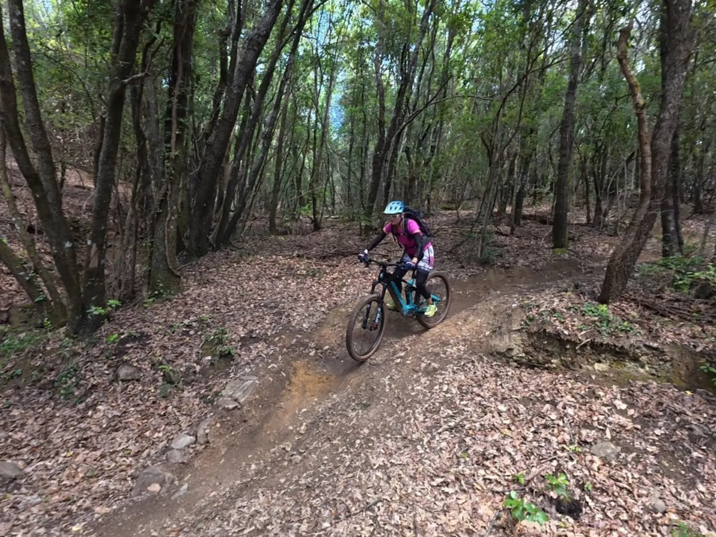 Auf dem Singletrail durch den Wald bei Massa Marittima