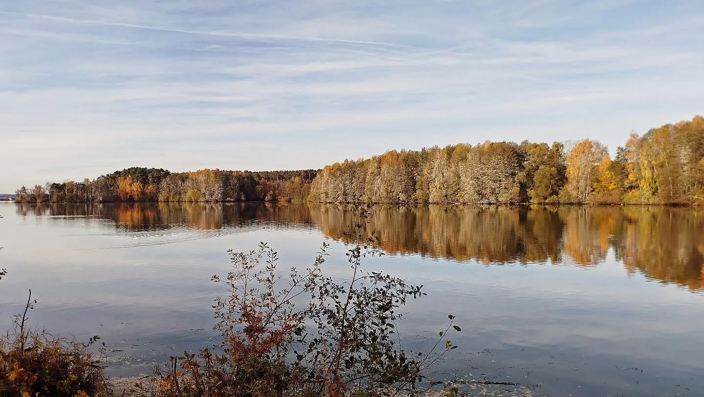 Herbstlich gefärbte Bäume spiegeln sich im Rothsee
