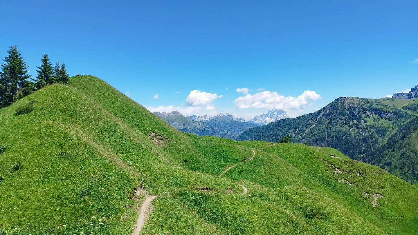 Grüne Almwiesen mit Blick in die Dolomiten