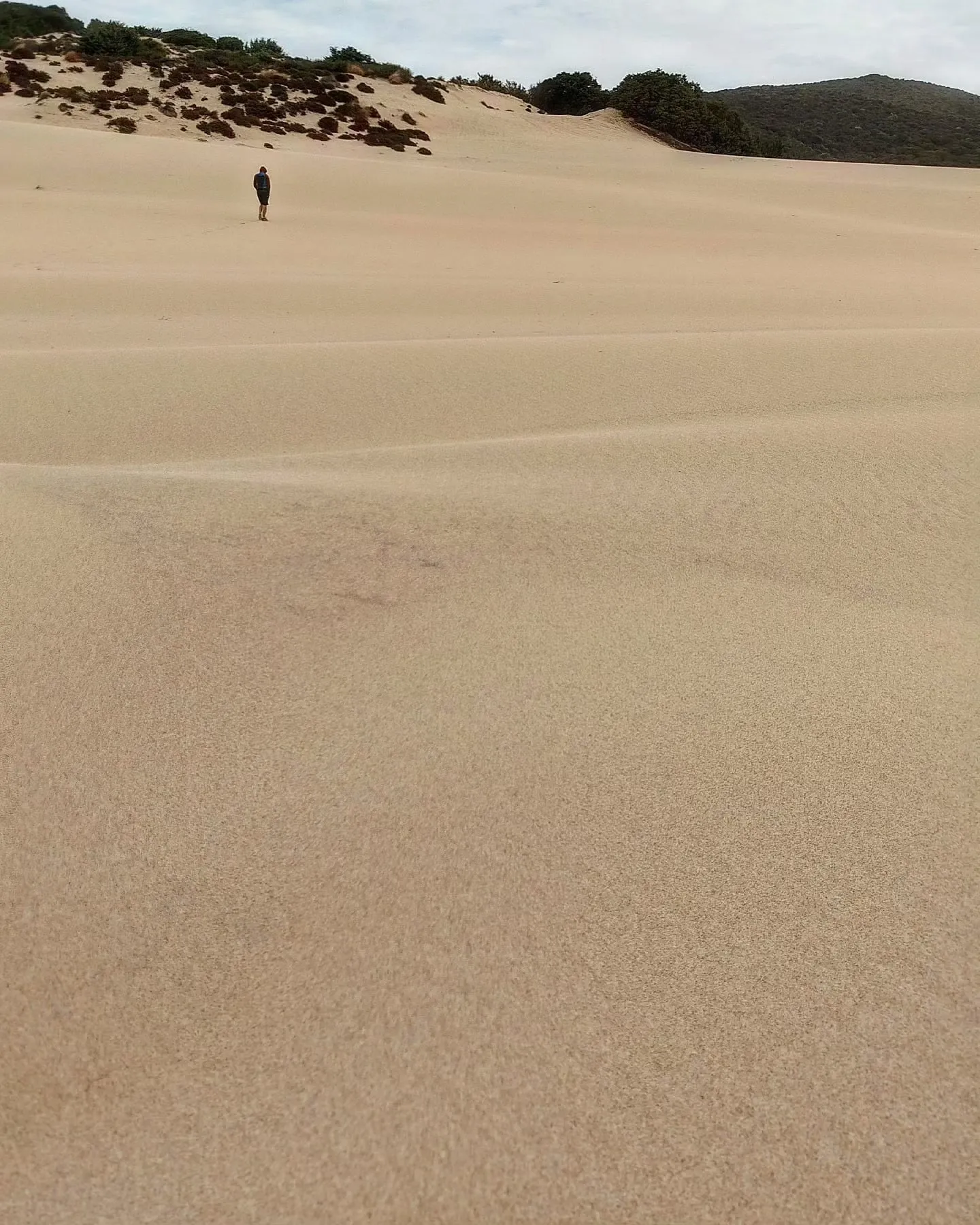 Unterwegs in der weiten Dünenlandschaft