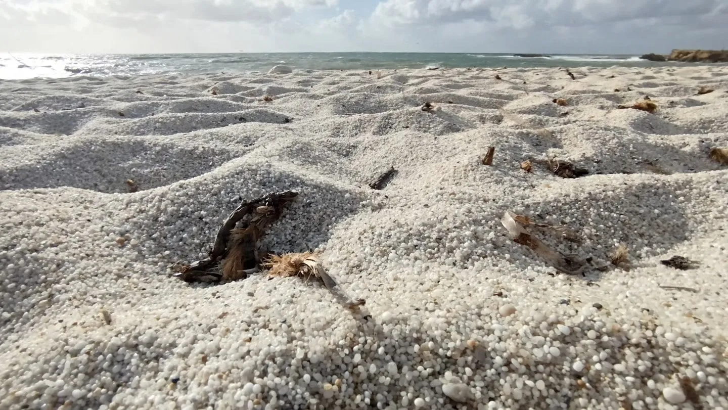 Reiskorngroße Quarzkiesel am Strand der Sinis-Halbinsel