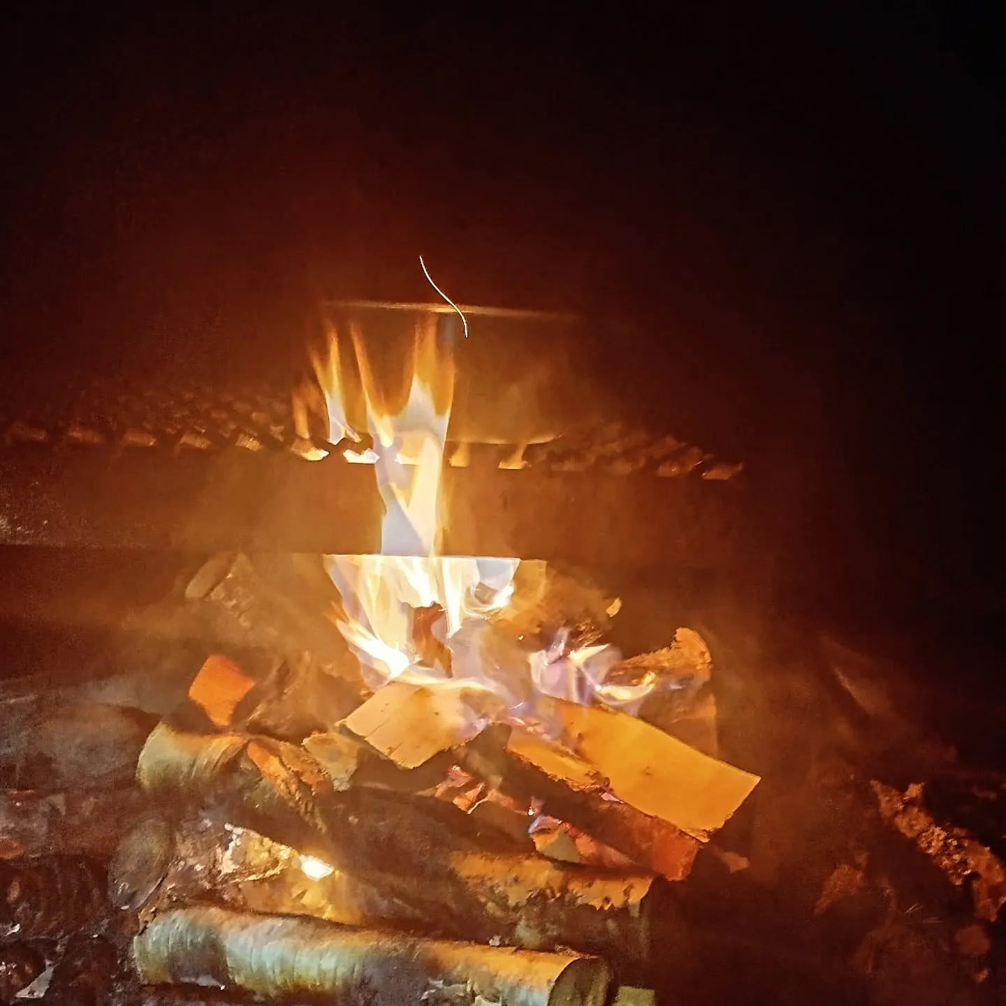 Lagerfeuer im Wald am See
