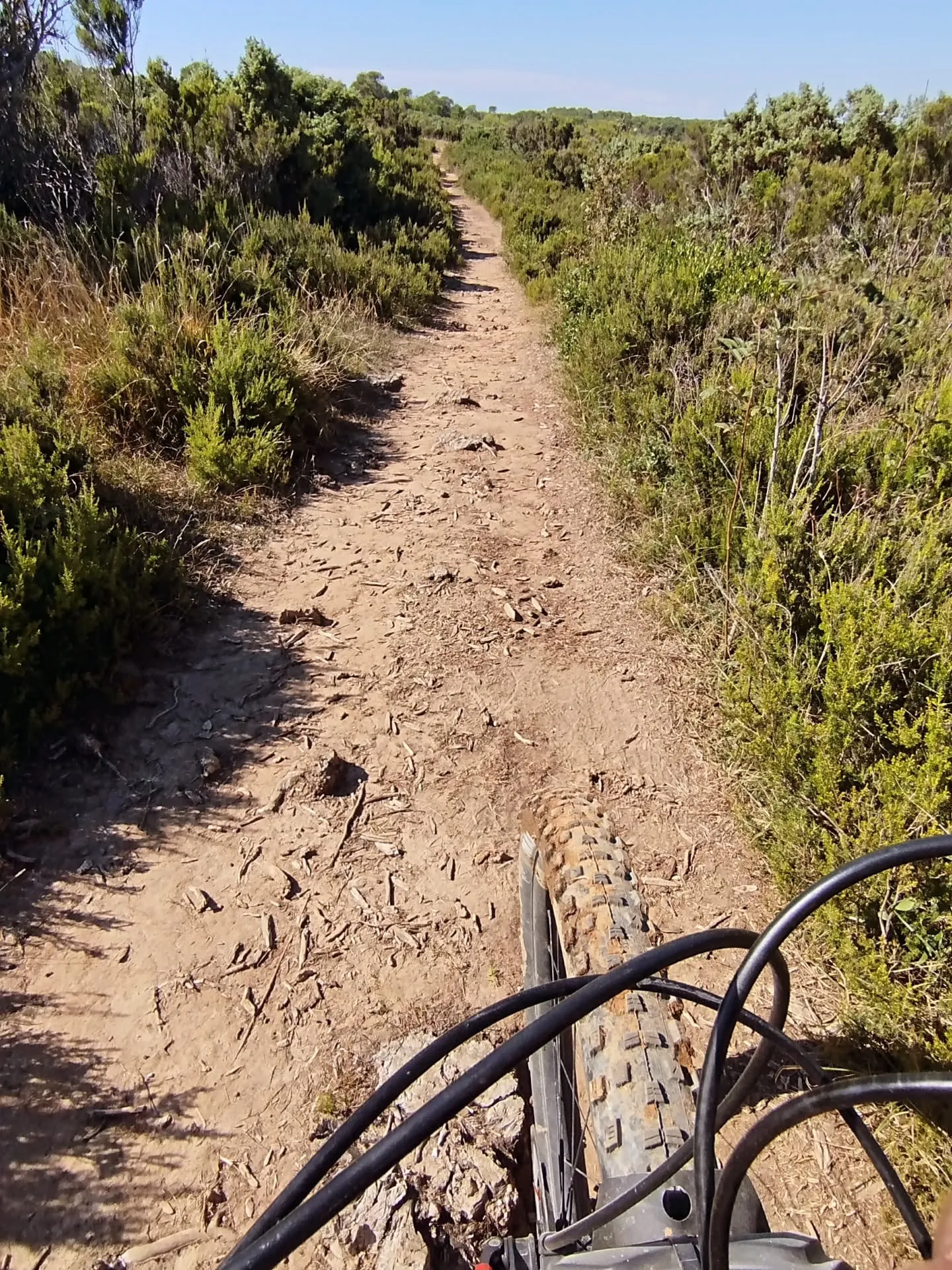 Staubiger Singletrail durch die Macchia