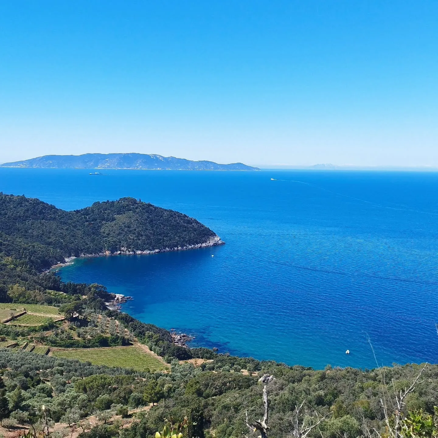 Die tiefblaue Küste des Monte Argentario