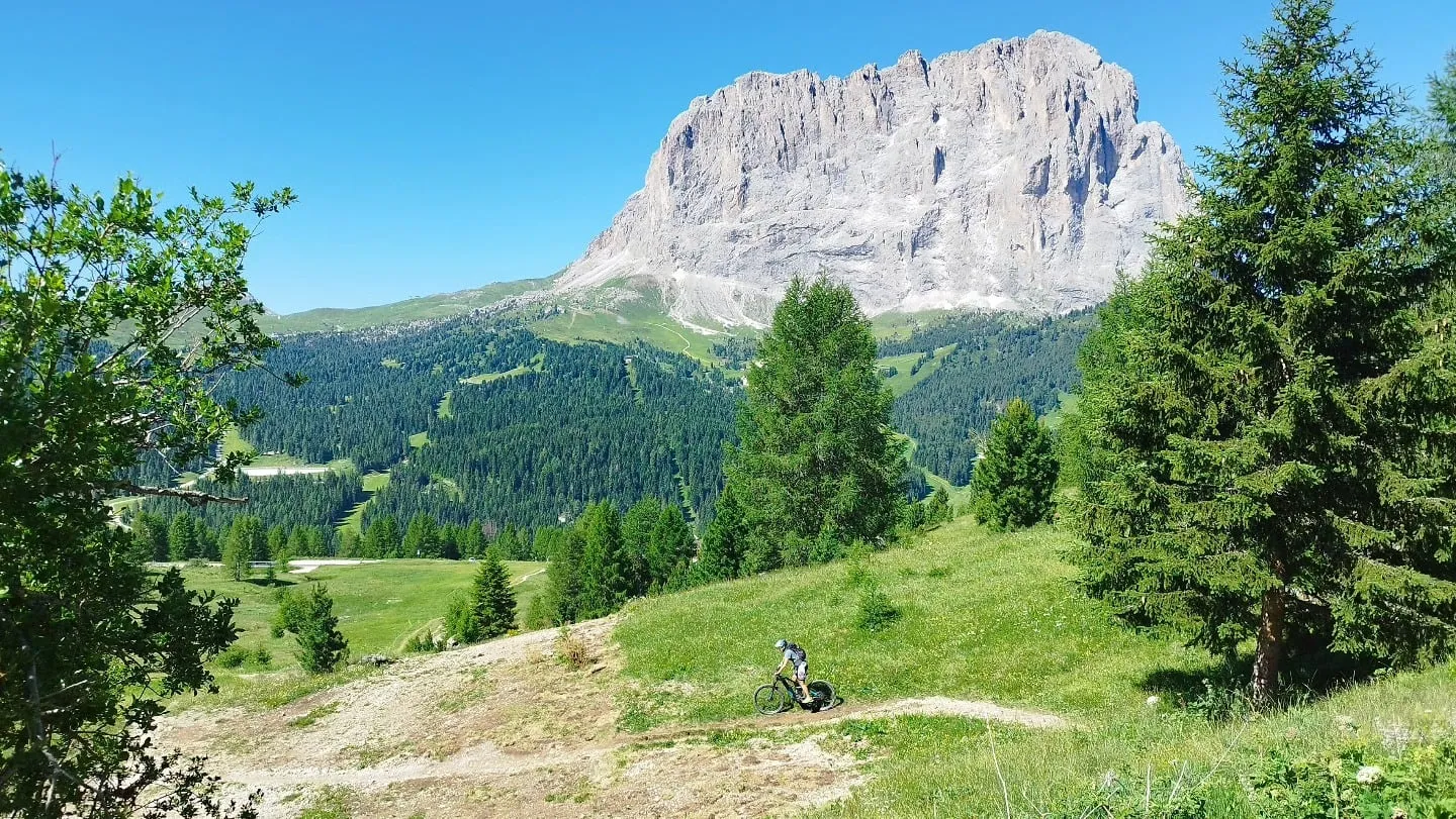 Der Langkofel über den Wiesen