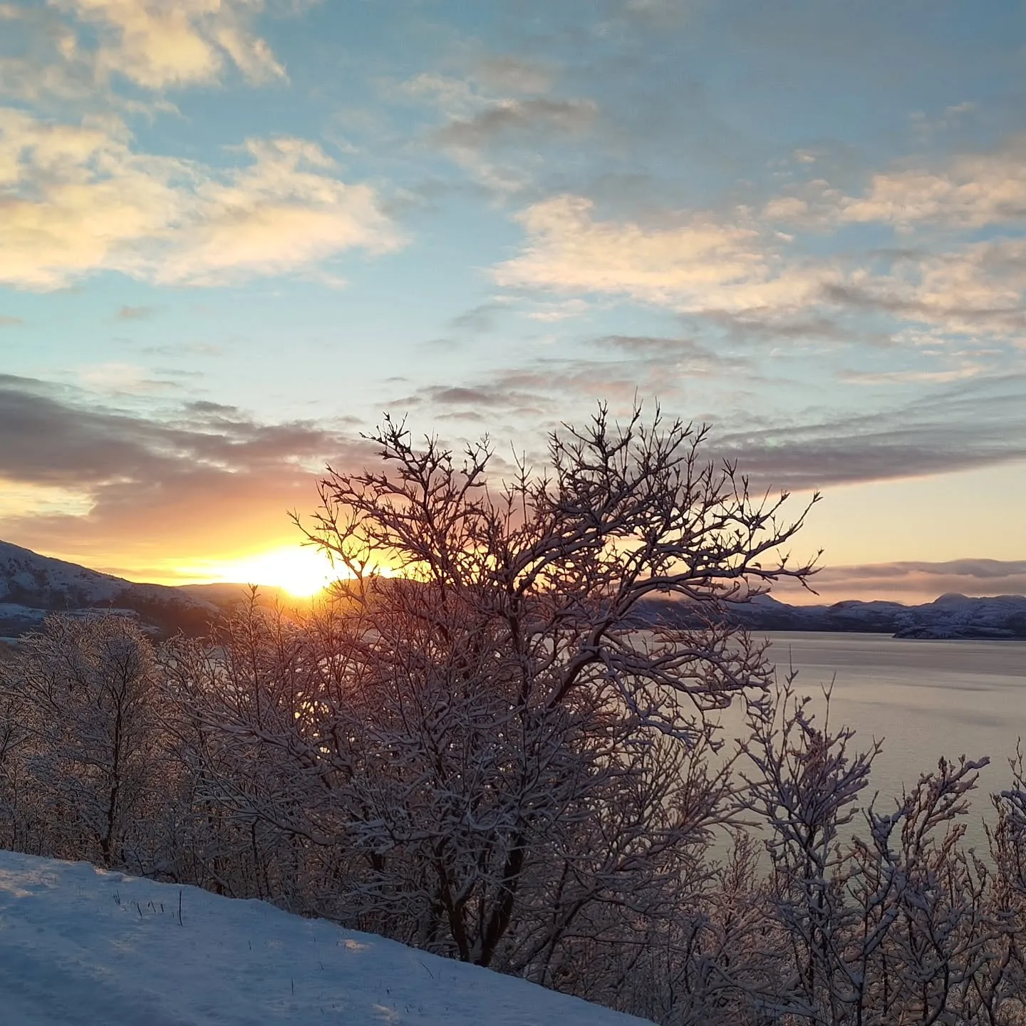 Sonnenuntergang über dem Fjord
