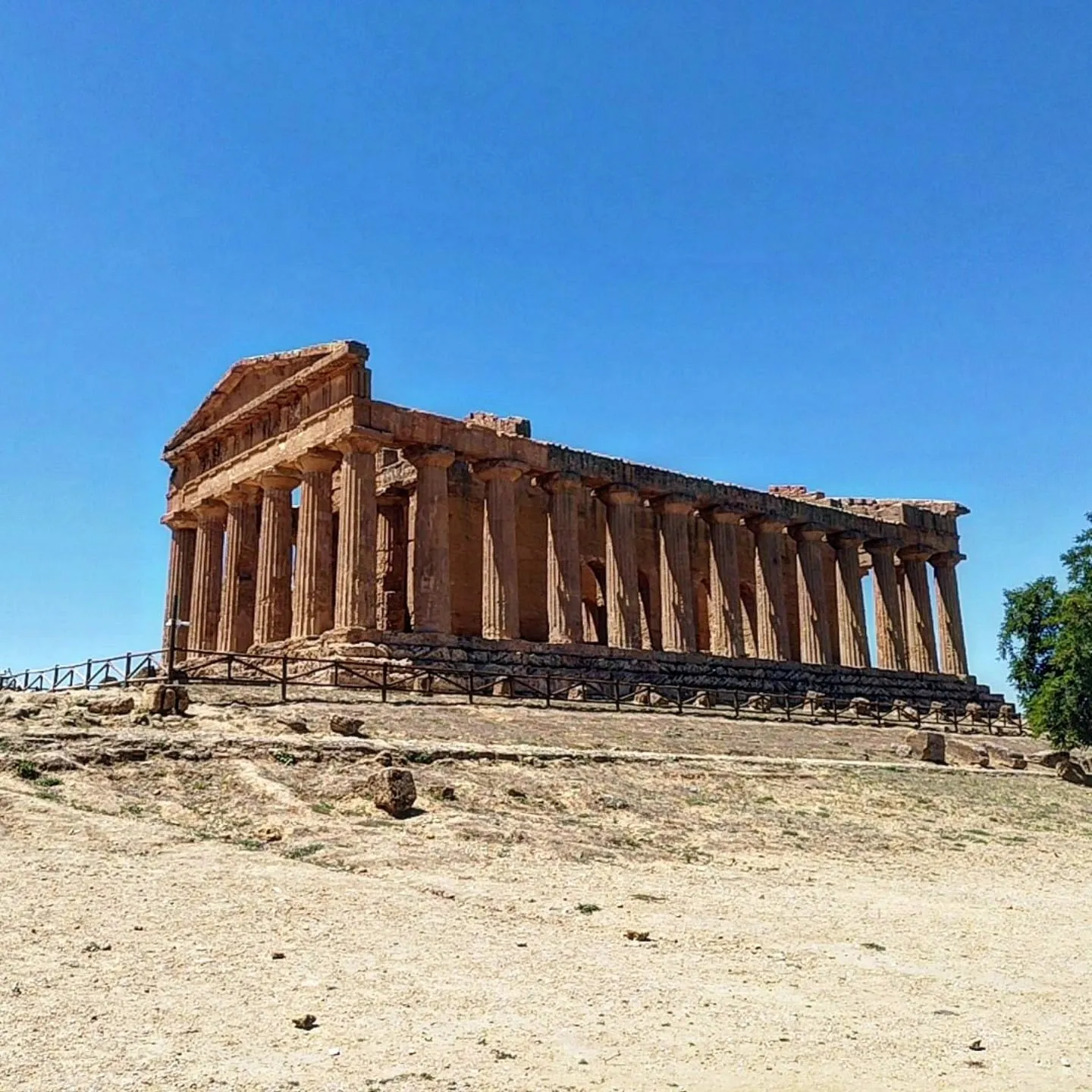 Der Concordia-Tempel im Morgenlicht