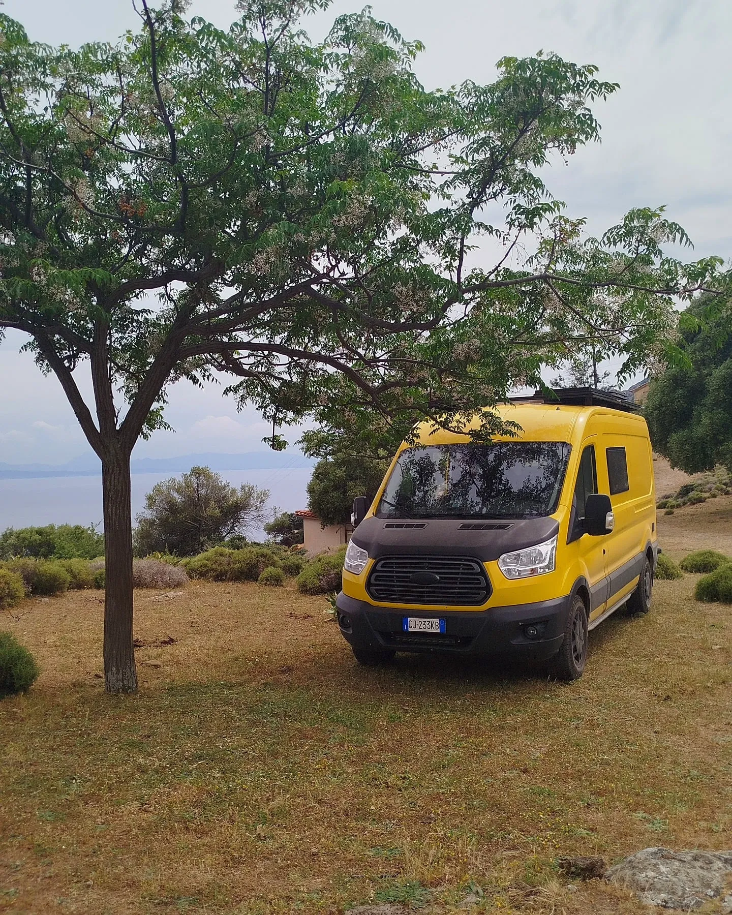 Der Van auf dem Campingplatz