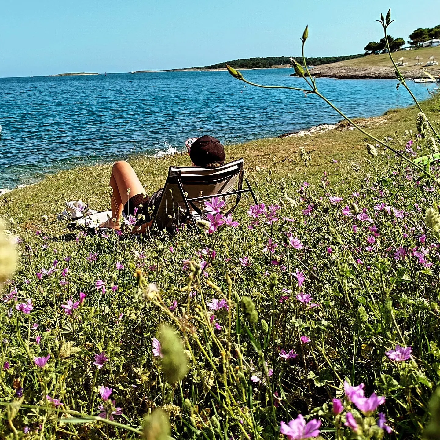 Entspannen auf der Blumenwiese am Meer