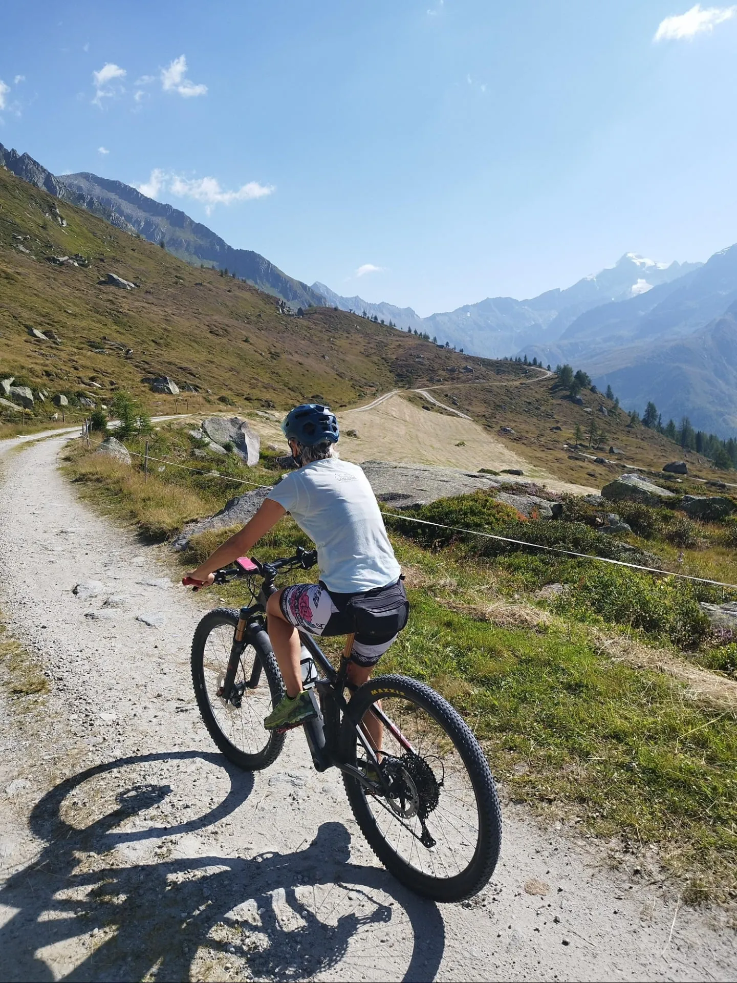 Mit dem Mountainbike auf dem Almweg